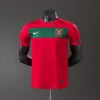 Portugal 2010 Player Version Retro Home Jersey S-3XL